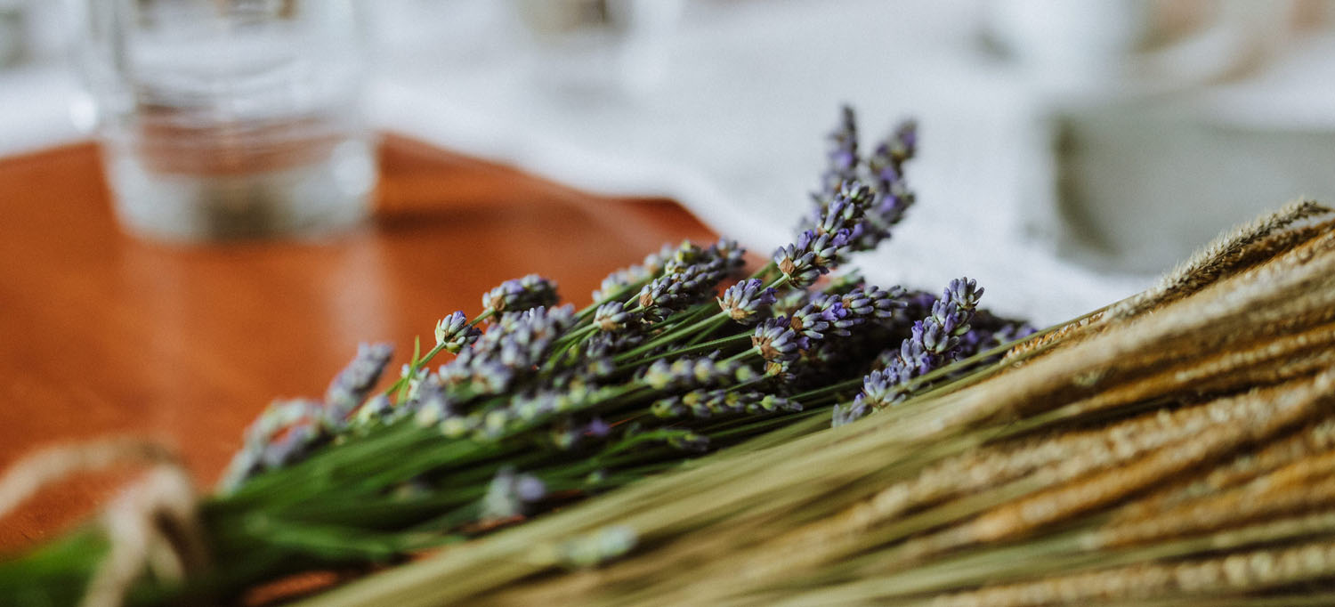 SOCIETÀ AGRICOLA FATTORIA QUERCIA AL POGGIO S.R.L. — foto 8