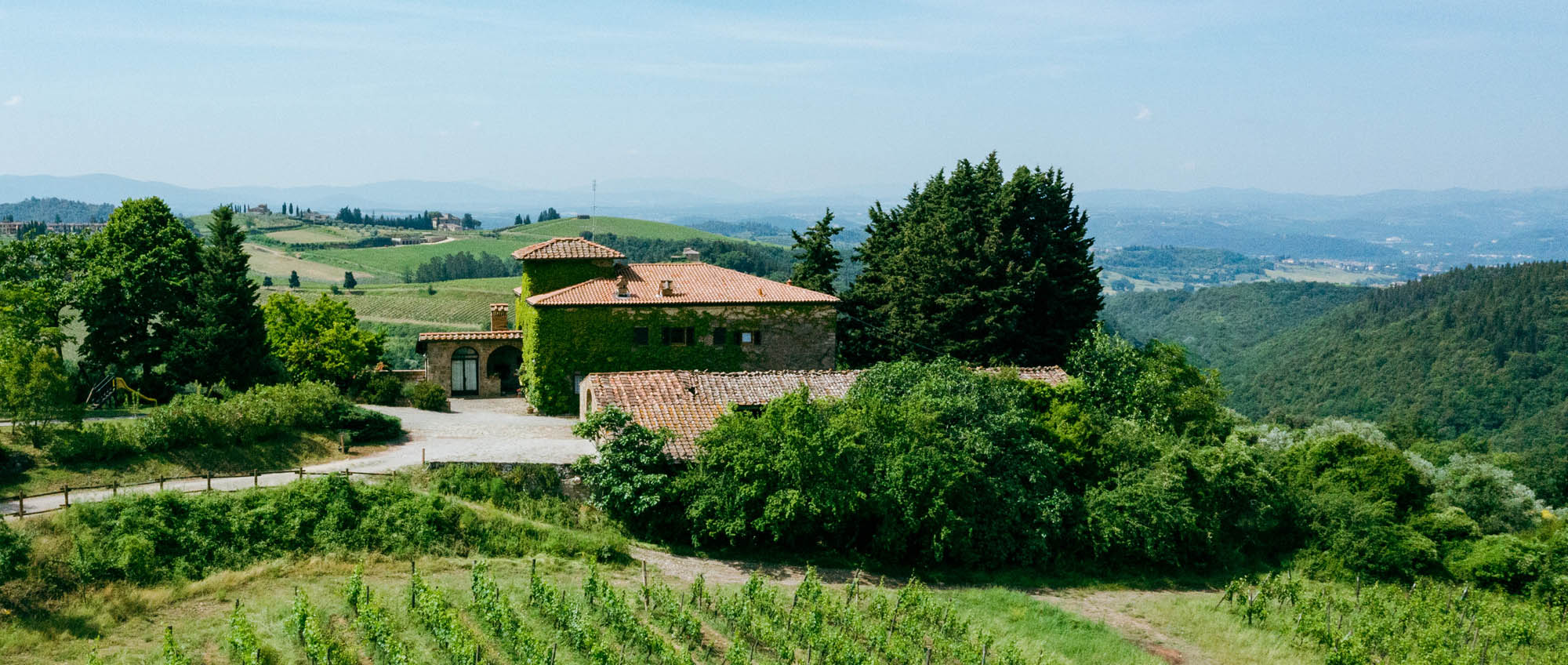 SOCIETÀ AGRICOLA FATTORIA QUERCIA AL POGGIO S.R.L. — foto 5